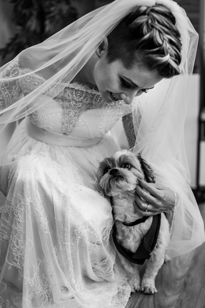 fotograf nunta craiova dragos stoenica silvia si cosmin 0007